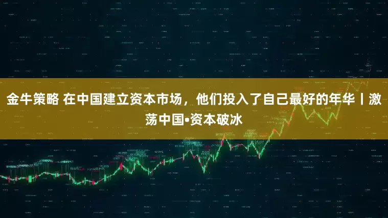 金牛策略 在中国建立资本市场，他们投入了自己最好的年华丨激荡中国•资本破冰
