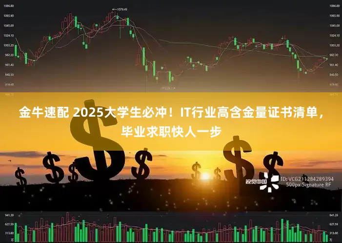 金牛速配 2025大学生必冲！IT行业高含金量证书清单，毕业求职快人一步
